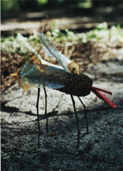 Des bouts de plastiques mélangés à des éléments naturels