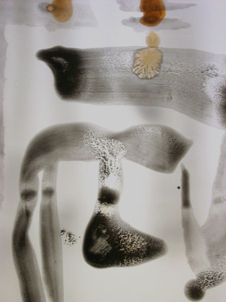 Détail