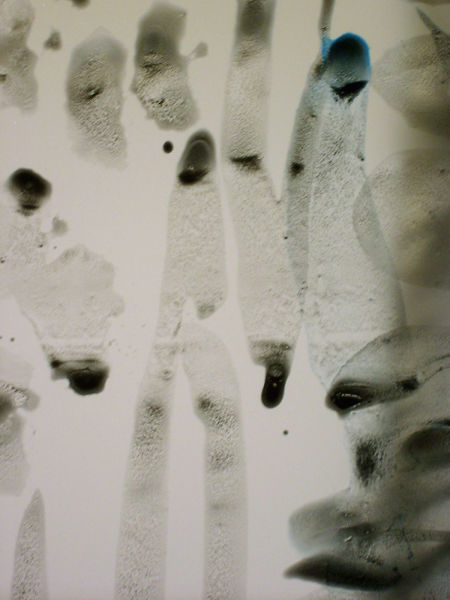 Détail
