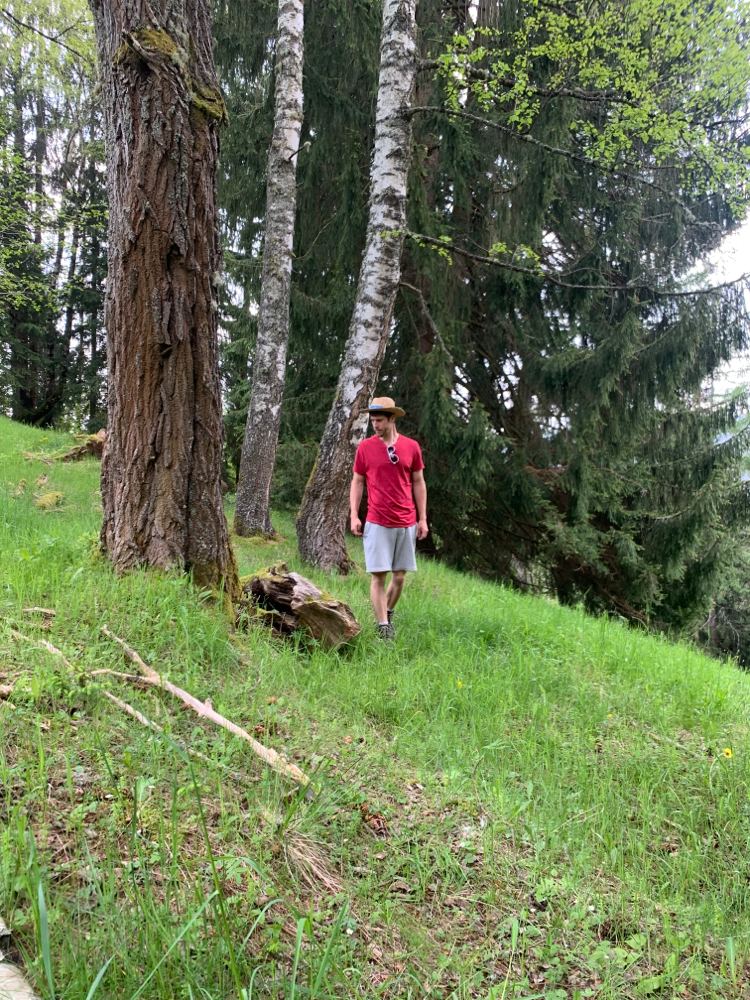 Trachtkontrolle bei den Bienenstöcken am Berg 