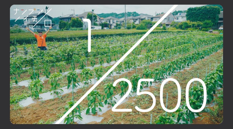 【NHK「ナンブンノイチ」】東京NEO-FARMERS！が取り上げられます！