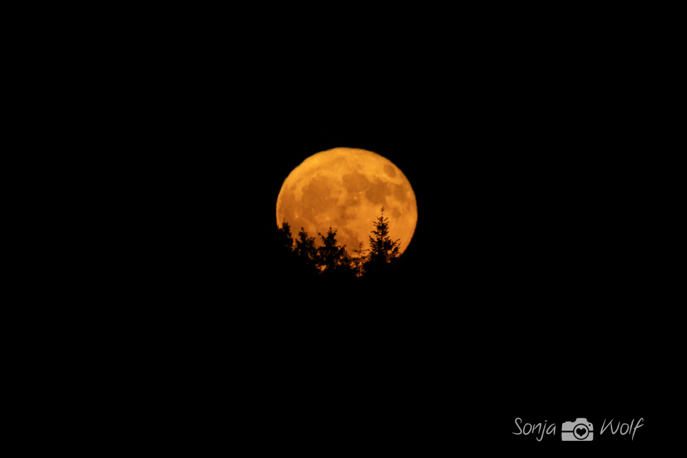 Erdbeermond