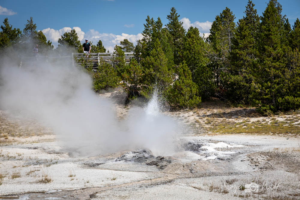 Yellowstone Tour 3
