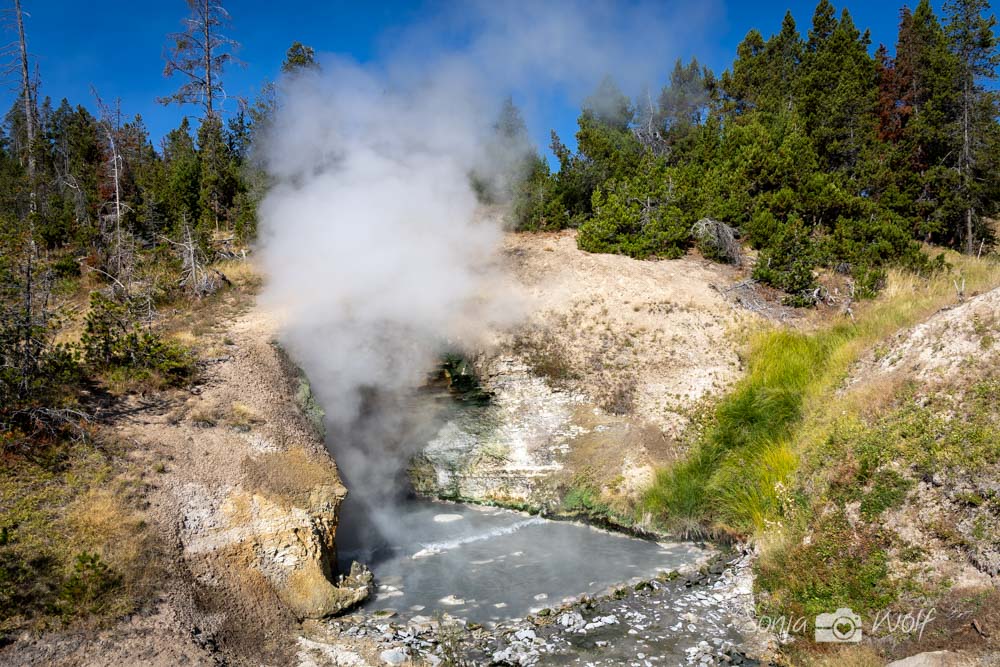Yellowstone Tour 1