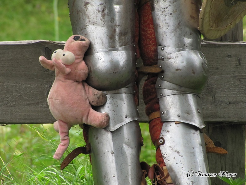Glücks-Schwein-Schutz beim Vollkontakt-Kämpfer