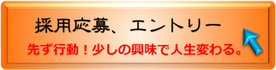 株式会社 アリエル、採用応募入力