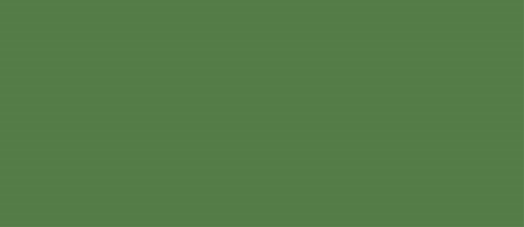 Groen 545