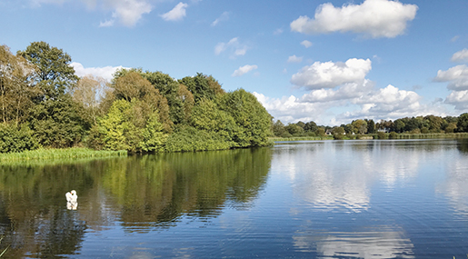 Naturschutzgebiet Hoisdorfer Teiche