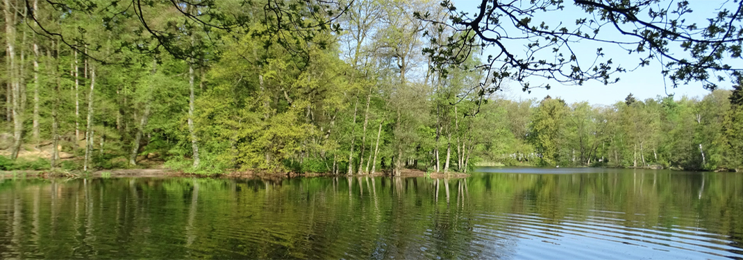 Naturschutzgebiet Hoisdorfer Teiche