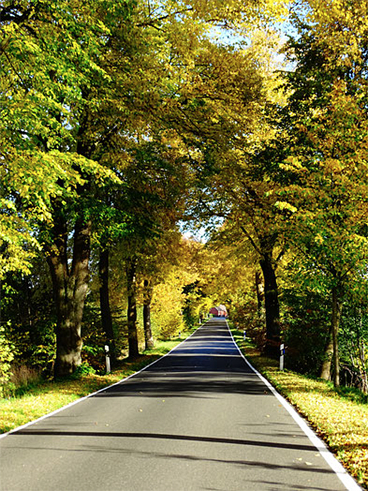 Oetjendorfer Landstraße Hoisdorf