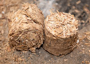 Zwei gepresste Holzbriketts aus Sägespänen