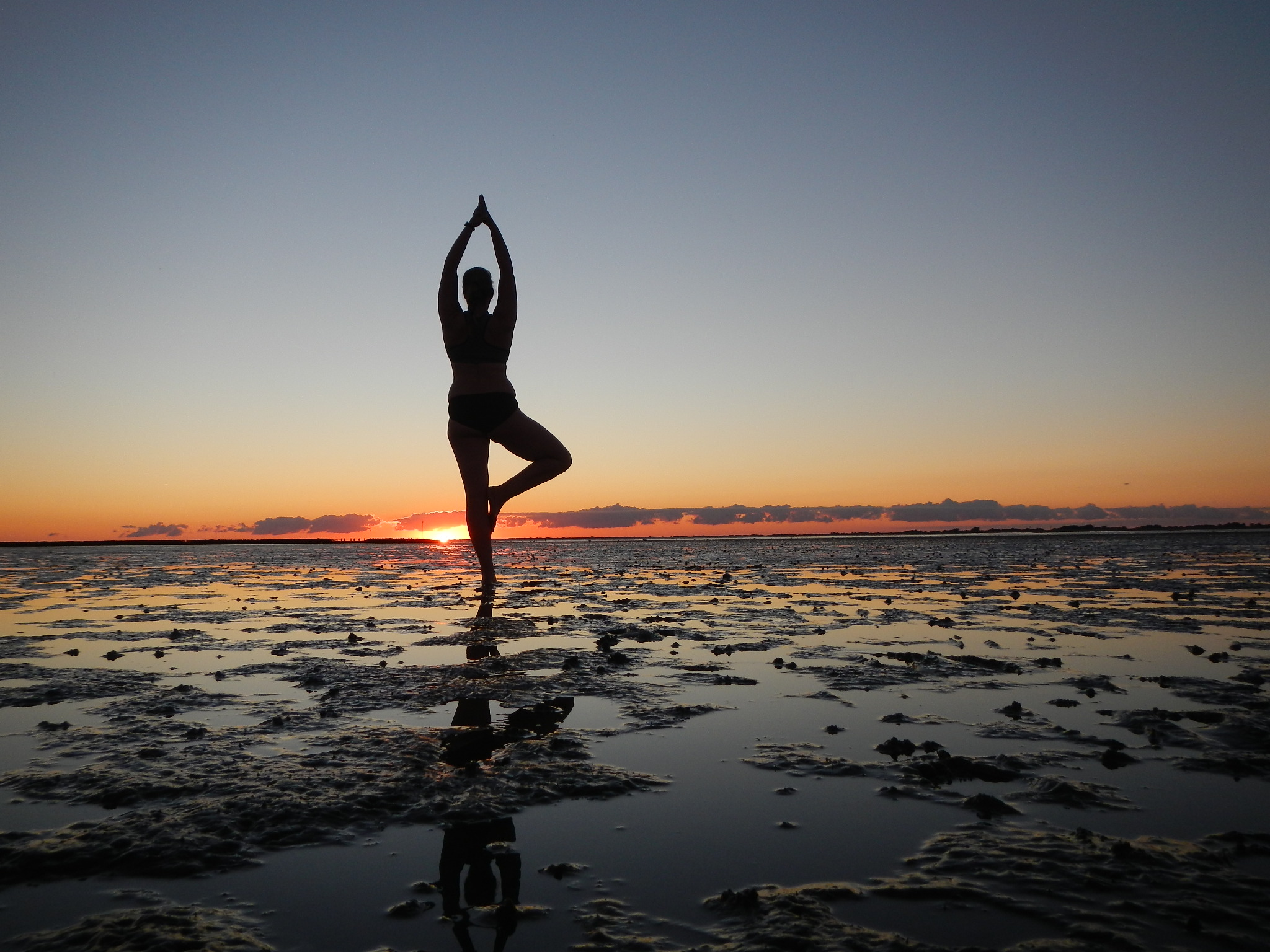 Antje Vollmer, Yogini