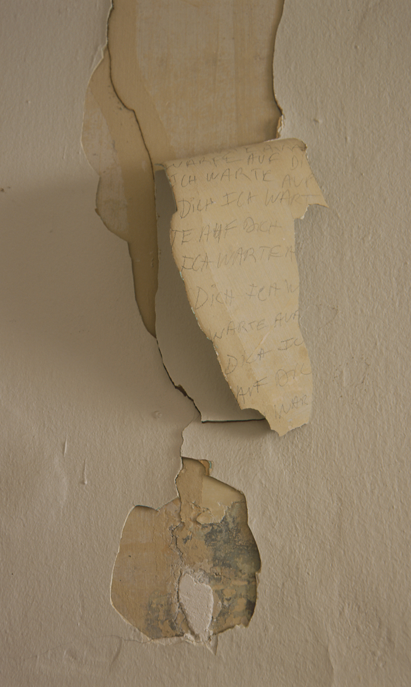 Installation 1 (Detail)