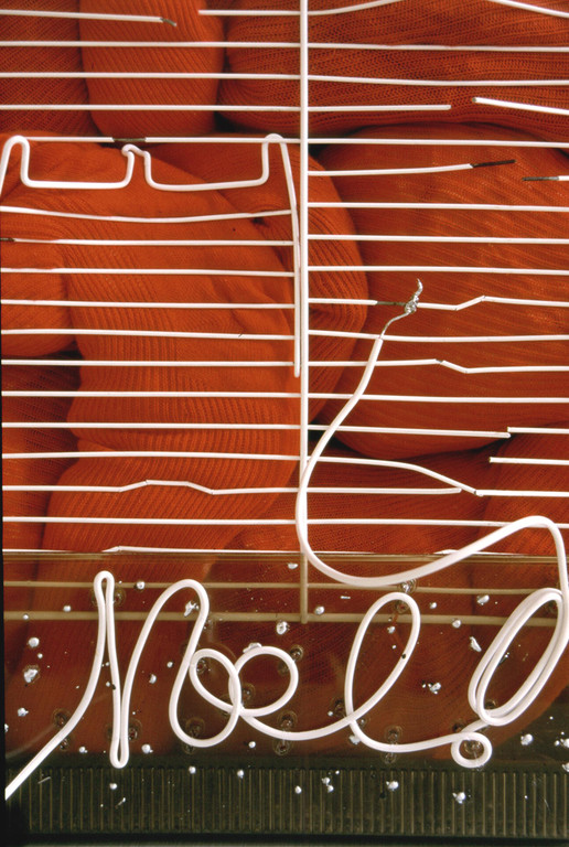 (2001, mixed media, bird cage, red child's tights etc. / private collection)