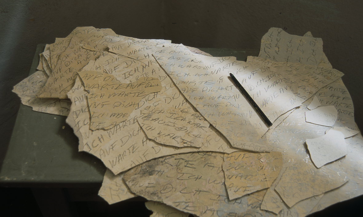 Installation 1 (Detail)