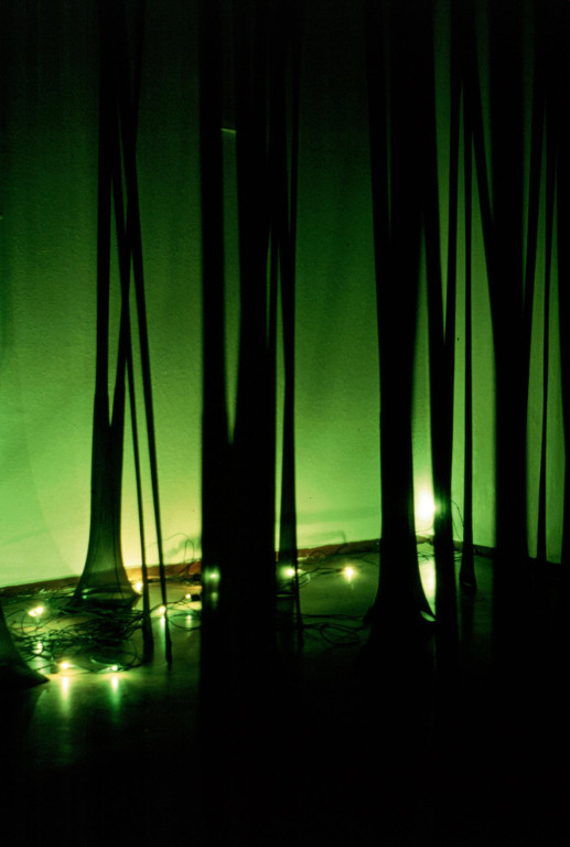 Zauberwald mit Glühwürmchen / The magic forest with glowworms / la forêt magique aux verts luisants (2000, installation, women's tights, sound-loop etc.)