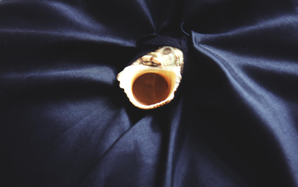 (1998, mixed media, shell, black satin etc.)