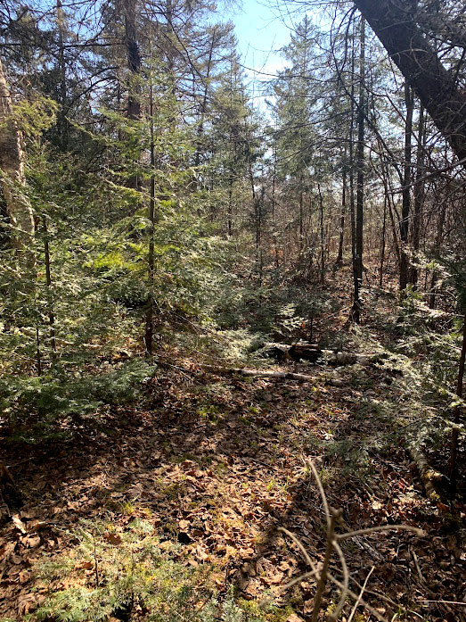 Robinson Manitoulin Island Real Estate