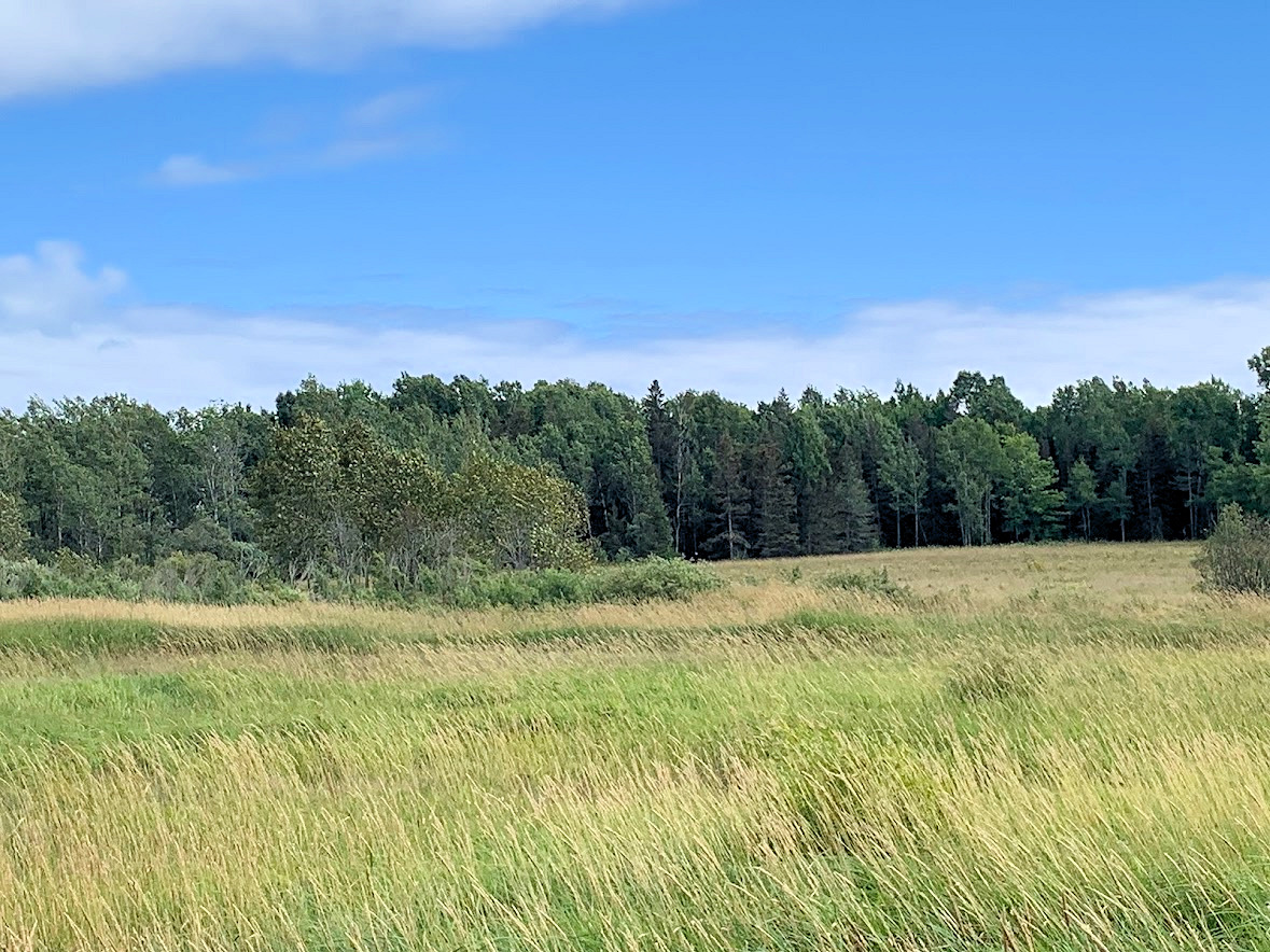 Walker Manitoulin Island Real Estate