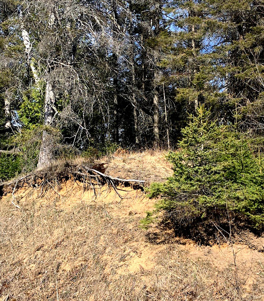 Robinson Manitoulin Island Real Estate