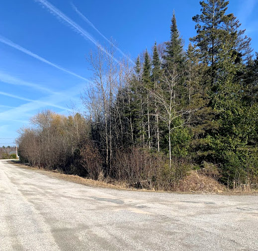 Robinson Manitoulin Island Real Estate