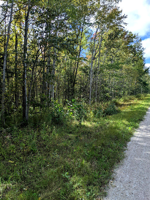 Jackson Manitoulin Island Real Estate