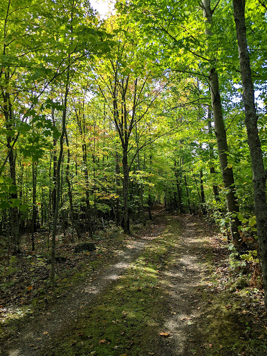 Hildebrant Manitoulin Island Real Estate