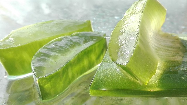 Aloe Vera, Gel, Heilpraktiker, Frankfurt, Haut