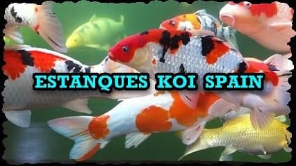 Kockney Koi Yamitsu Estanque Bomba de Aire Oxigenador de agua 50L Peces Koi Jardín de la salud