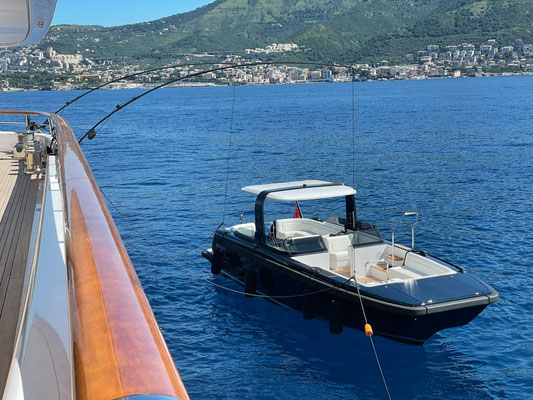 Carbon tender mooring whips photo 3