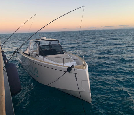 Carbon tender mooring whips photo 1
