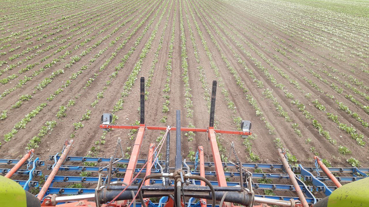 Boden & Pflanze Gut Edlau BioLandwirtschaft