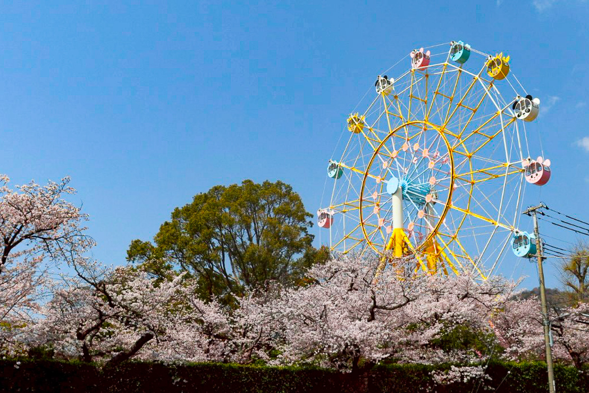 新年度の始まり