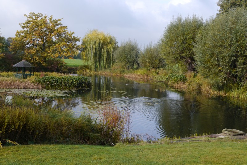 gartenasemissen offenegaertenwestfalens Webseite!