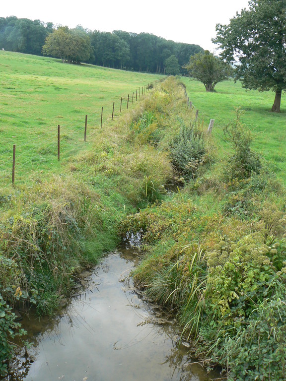 ruisseau route de Vrécourt 