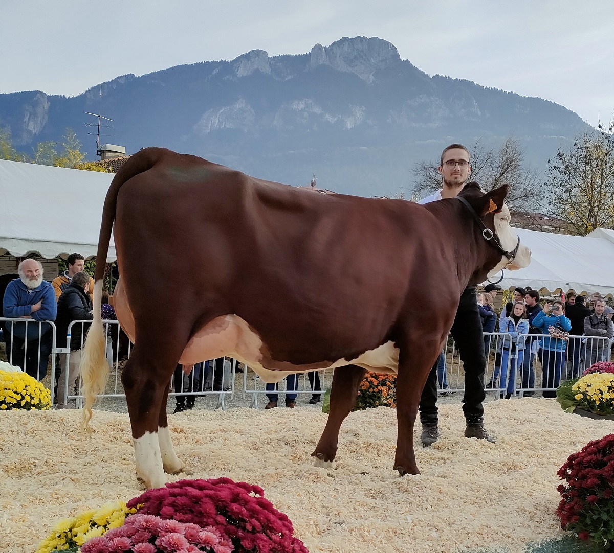 Foire De La Saint Maurice Cournon D auvergne 2022 Blog - OSRAR - OS Races Alpines Réunies