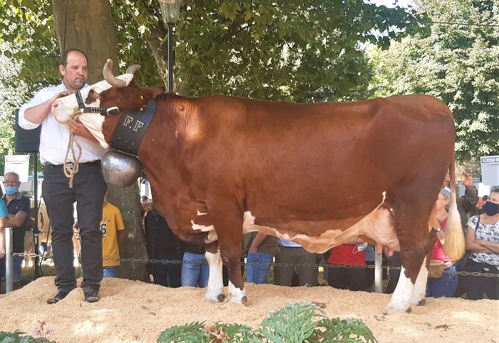 2021 - Intercommunal de Thônes - Foire de la Saint-Maurice