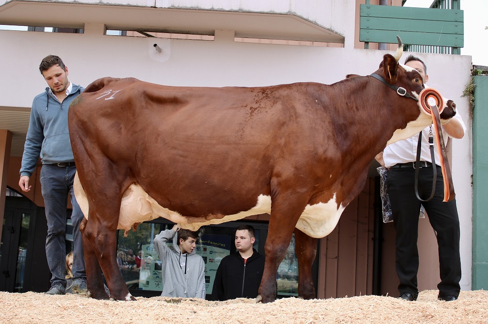 2022 - Foire de la Saint-Denis - La Roche-sur-Foron