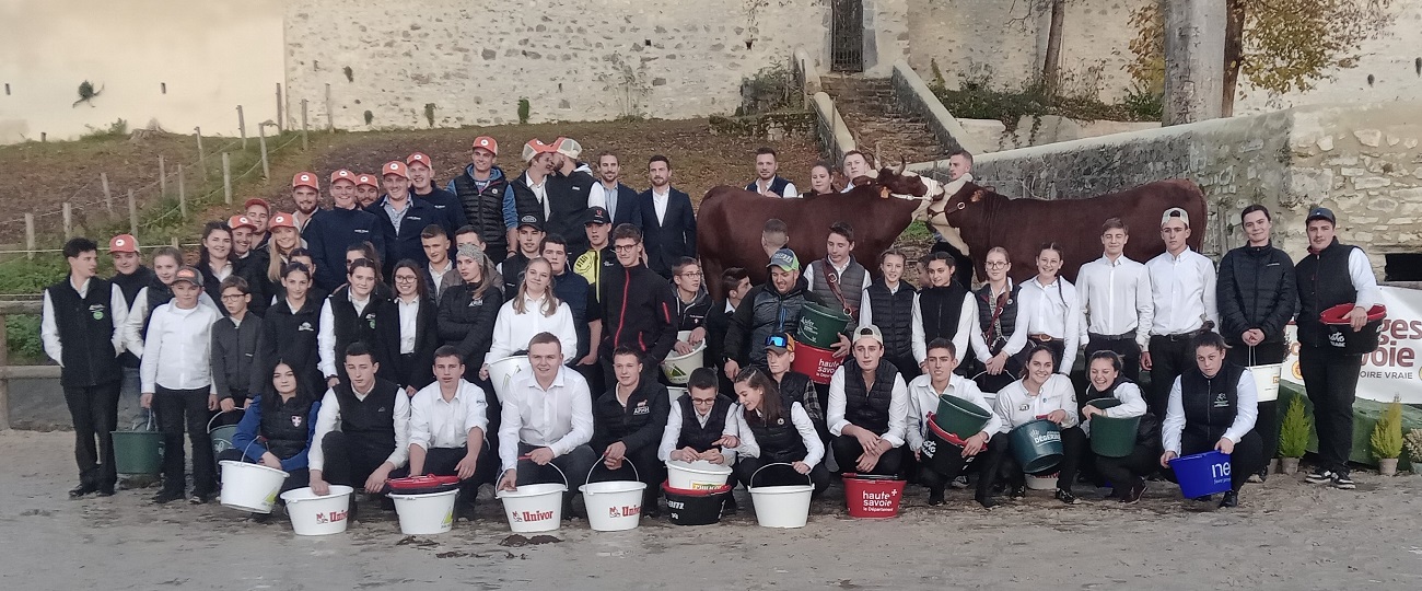 2024  : 1ère journée Abondance de Demain : concours génisses et jeunes meneurs