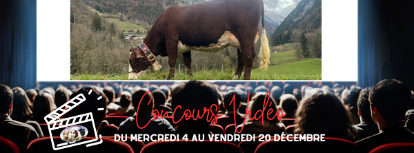 2024  : CONCOURS VIDEO