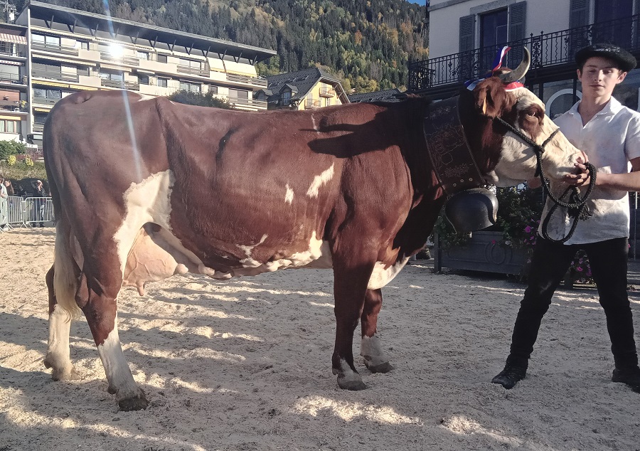 2022 - Concours de Saint-Gervais Mont-Blanc