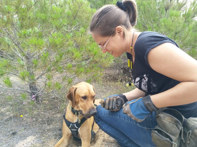 Nelli und Nala auf Trüffelsuche