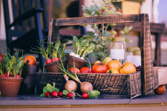Aula de cozinha vegetariana, legumes, frutas, vegetariano, escola de cozinha Algarve, Carvoeiro, Algarve, Lagoa, Portugal, Academia Culinária, Academia Culinária Martins, culinária, aprender a cozinhar