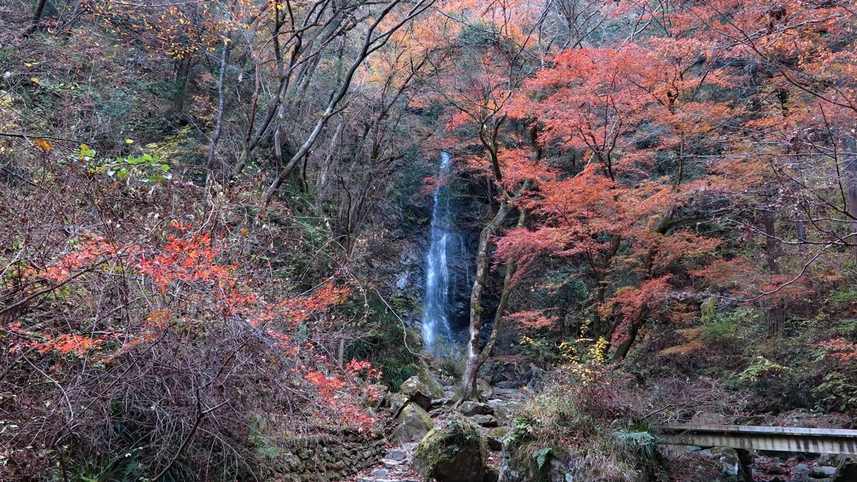 奥多摩社員旅行