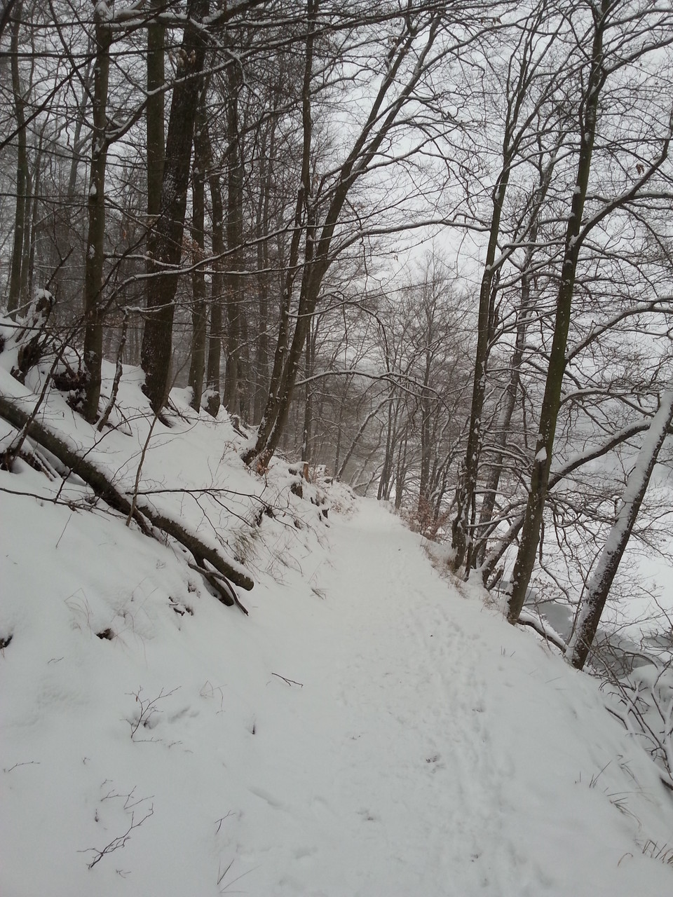 Schnee ist toll