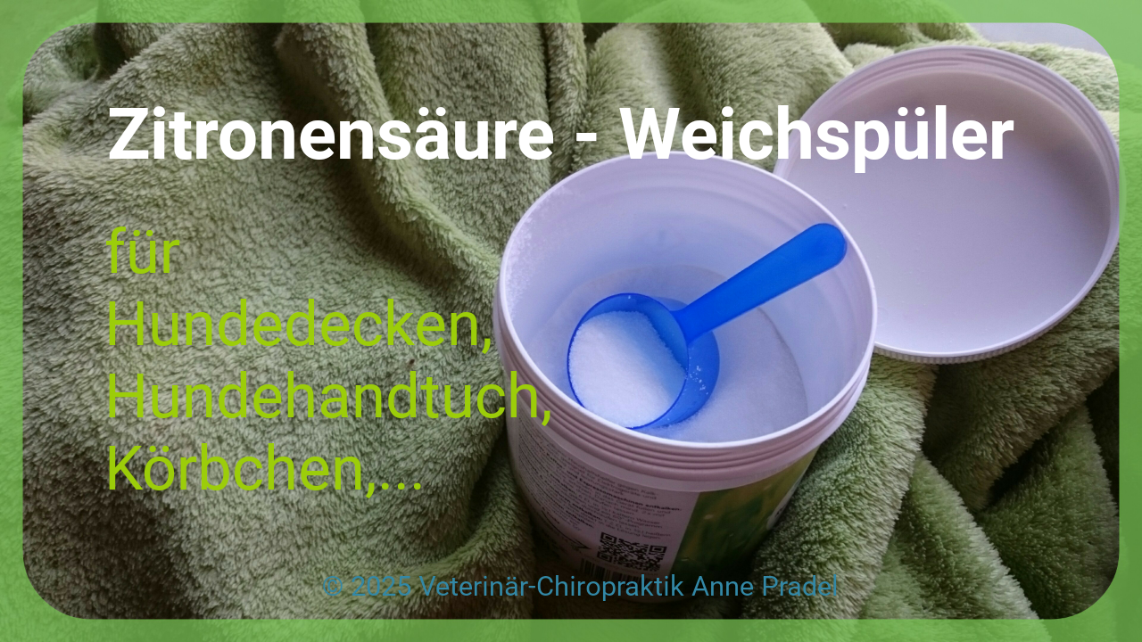 Zitronensäure-Weichspüler für Hundesachen
