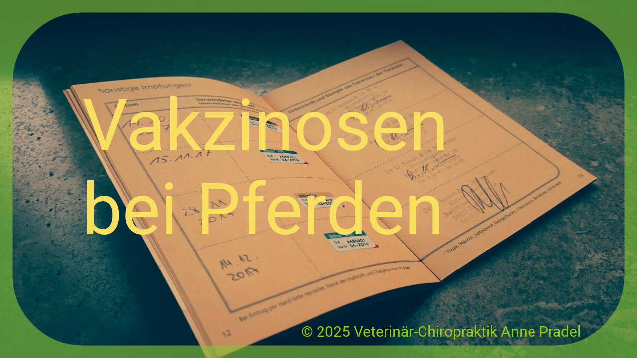 Vakzinosen beim Pferd