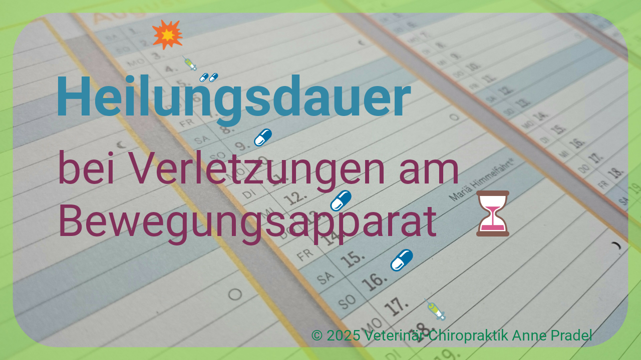 Heilungsdauer bei Verletzungen am Bewegungsapparat