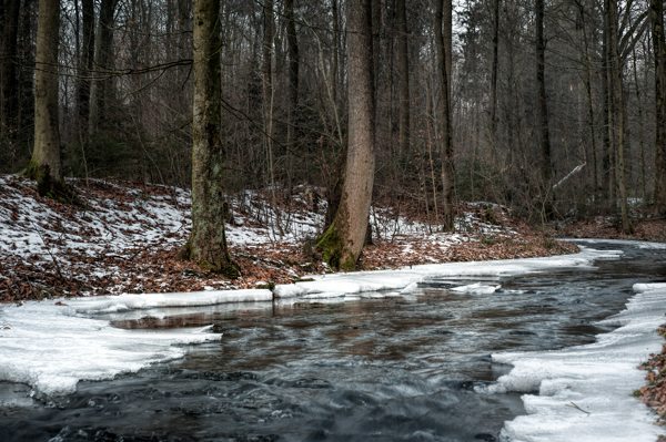 Langsam friert der Bach zu