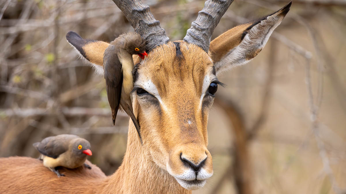 Katja und Josef Niedermeier GbR